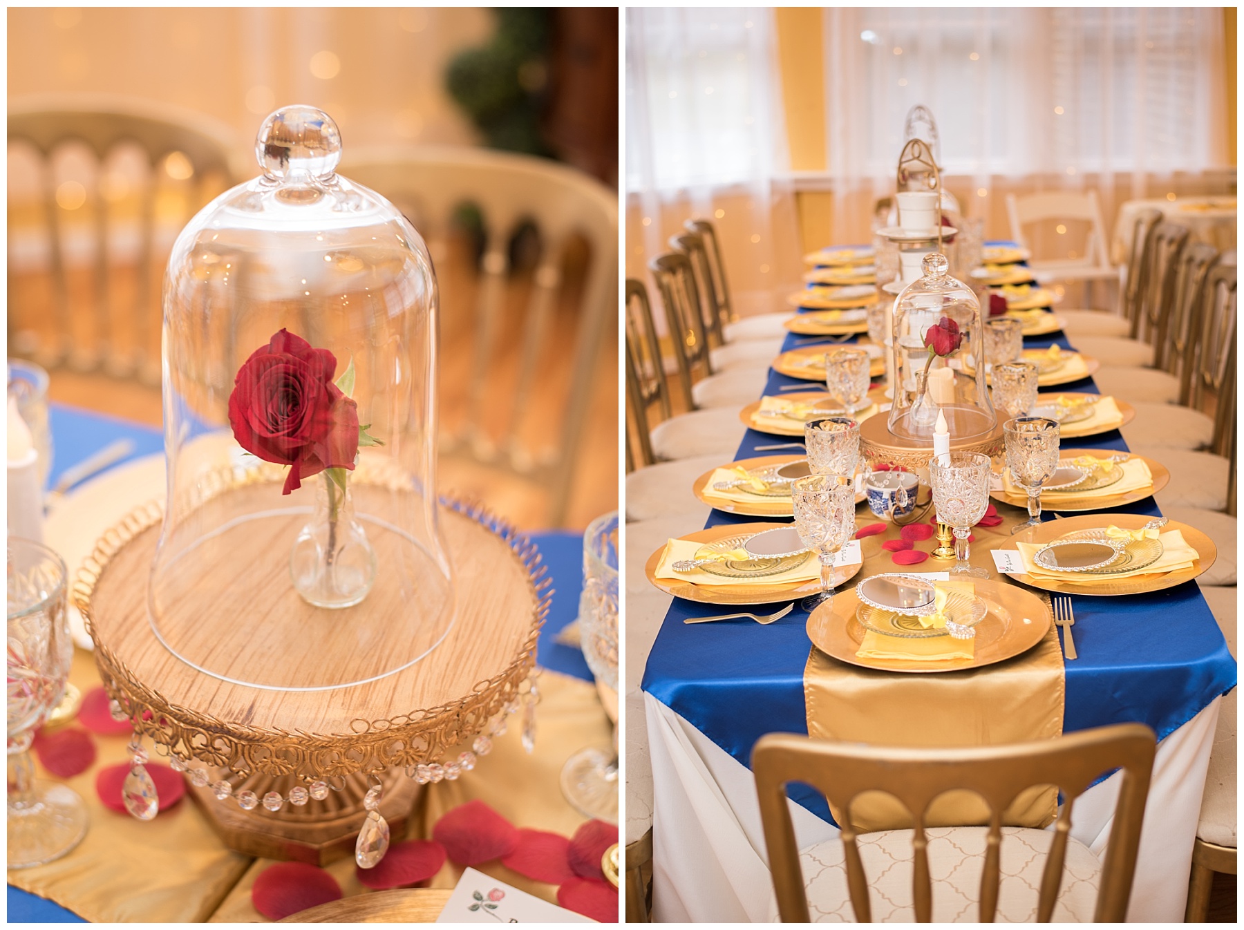 Beauty and the beast birthday party